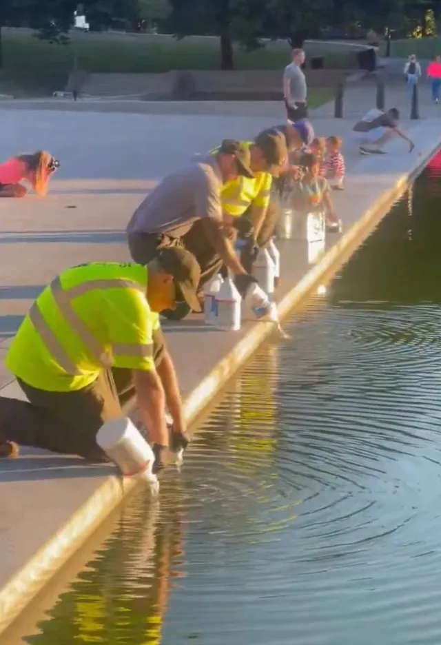 Trump workers frantically dumping peroxide to fix failed reflecting ...